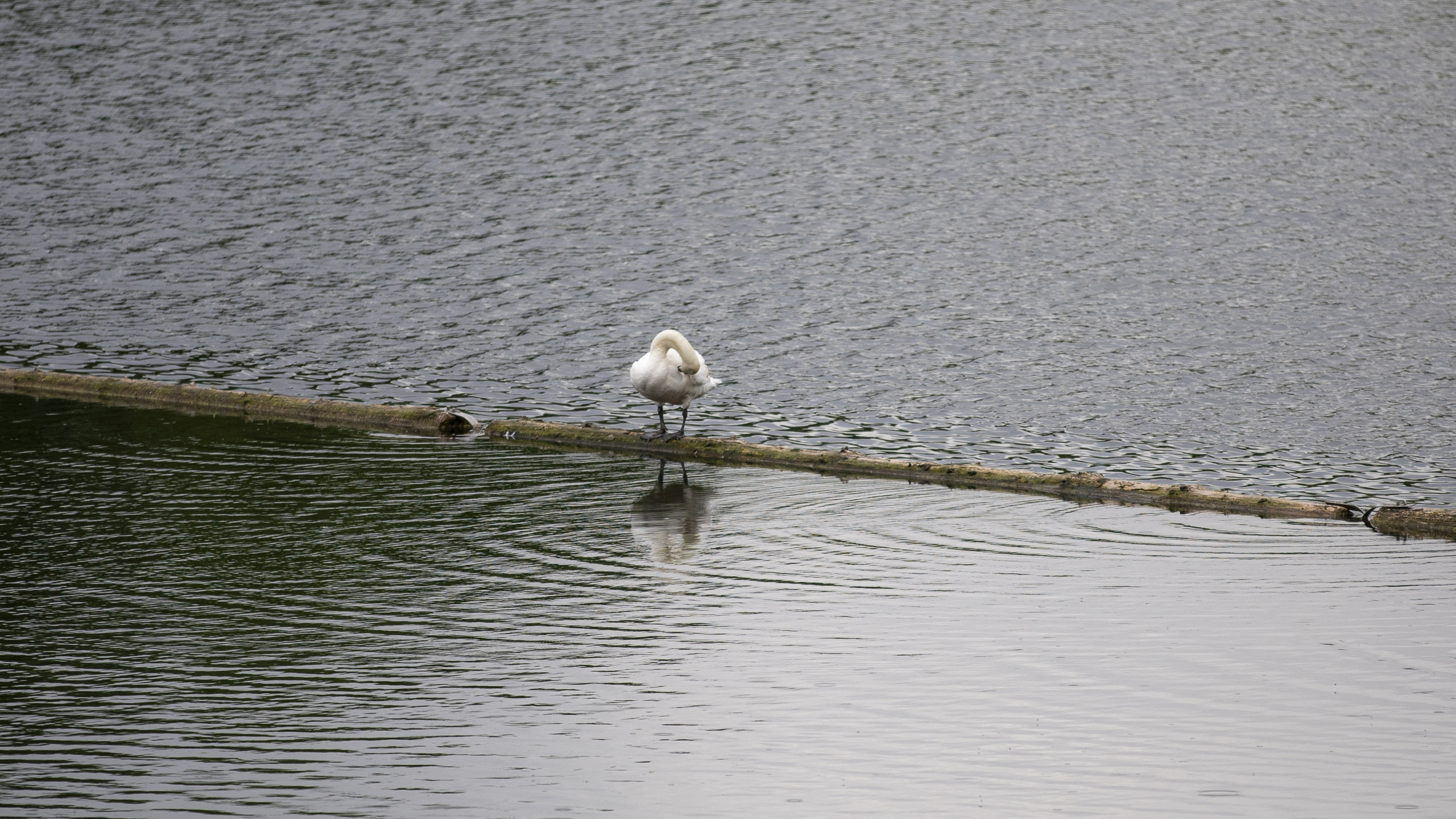 20250503133730 RD4 2503